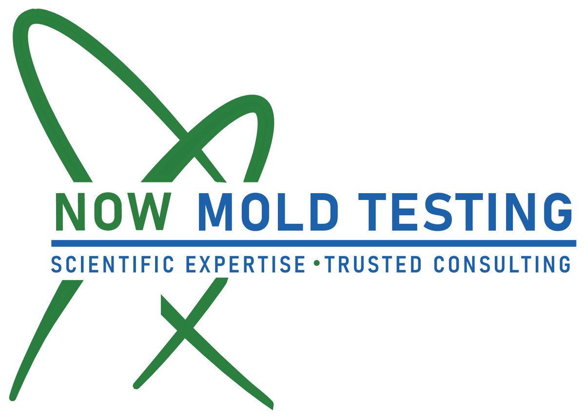 Now Mold Testing